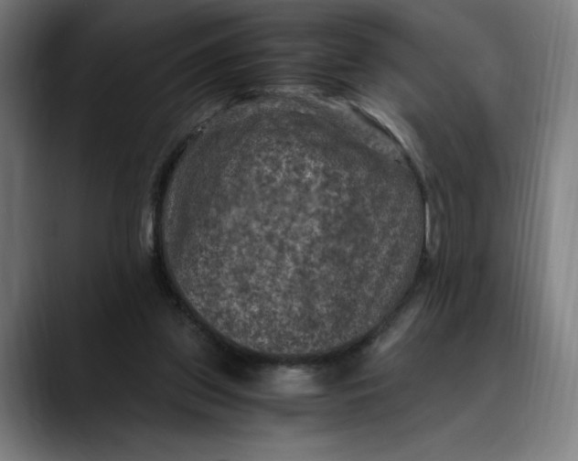 X0000089690157200707121342