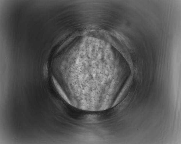 X0000089690158200707121342