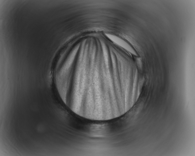 X0000089690160200707121342