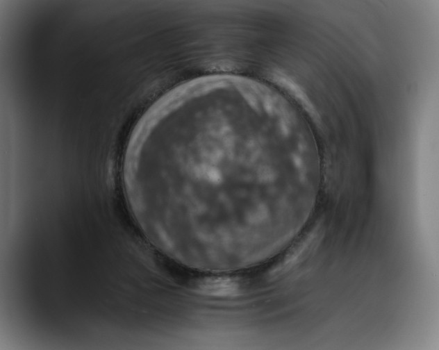 X0000089690161200707121342