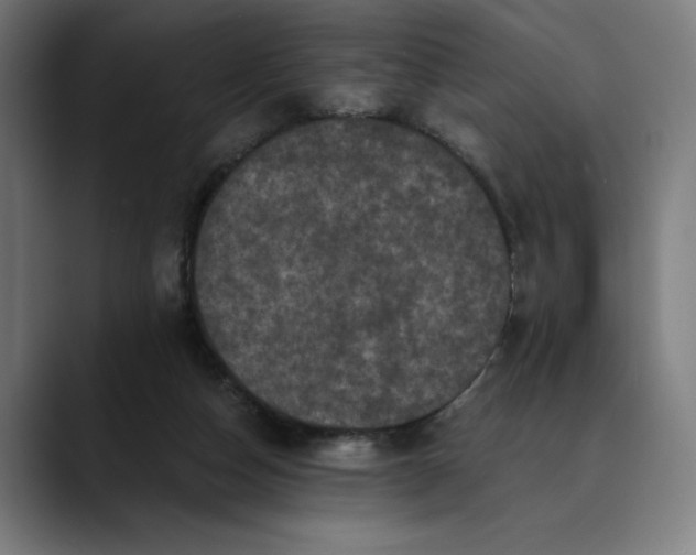 X0000089690162200707121342