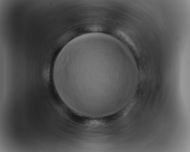 X0000089690163200707121342