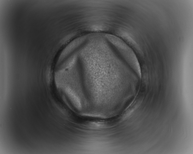 X0000089690164200707121342