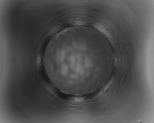 X0000089690165200707121342