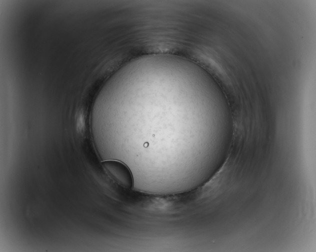 X0000089690166200707121342