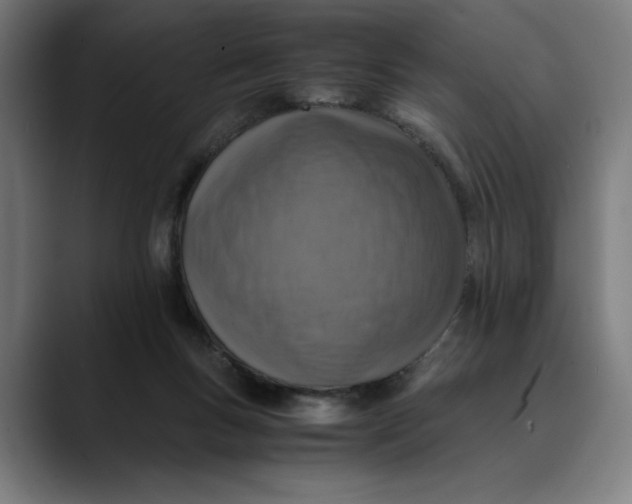 X0000089690167200707121342