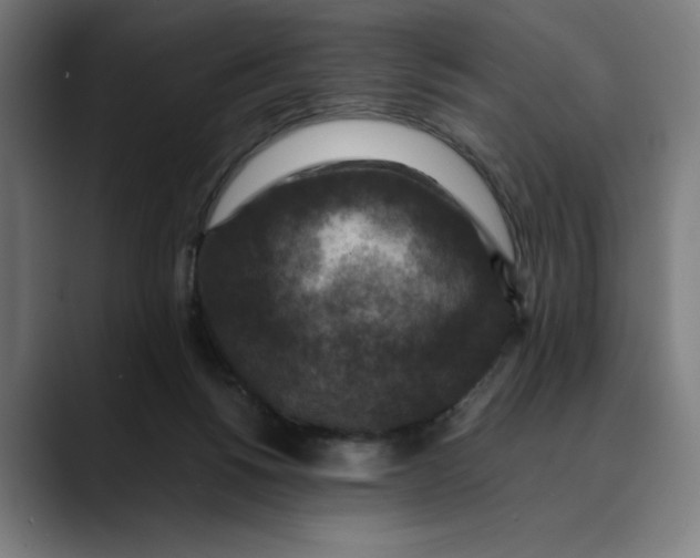 X0000089690168200707121342