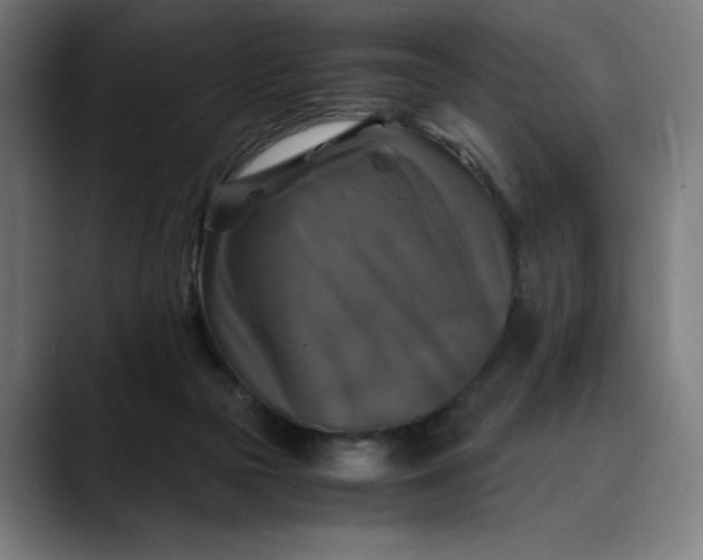 X0000089690169200707121342