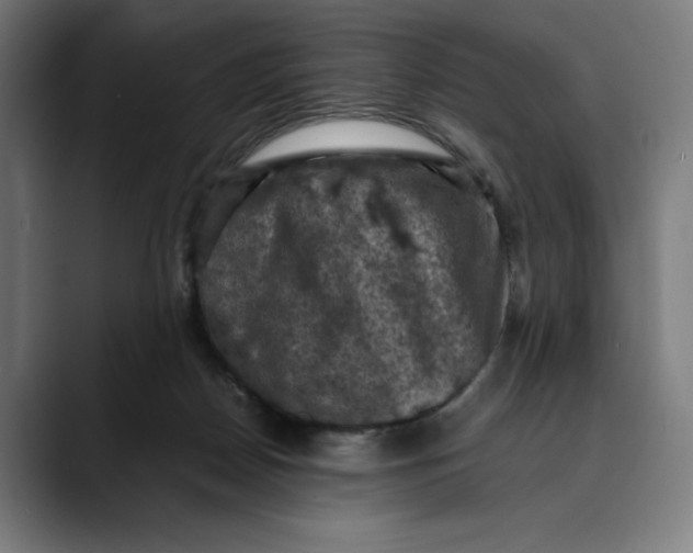 X0000089690170200707121342