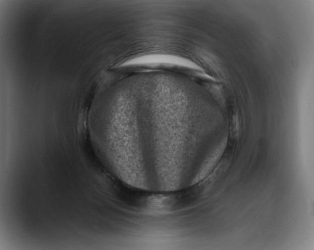 X0000089690172200707121342