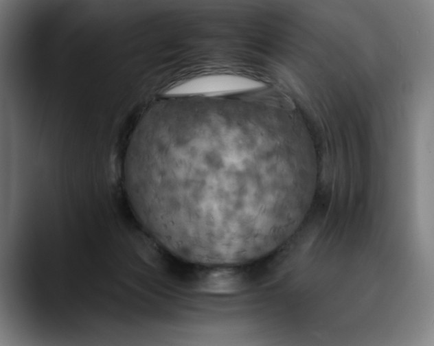 X0000089690173200707121342