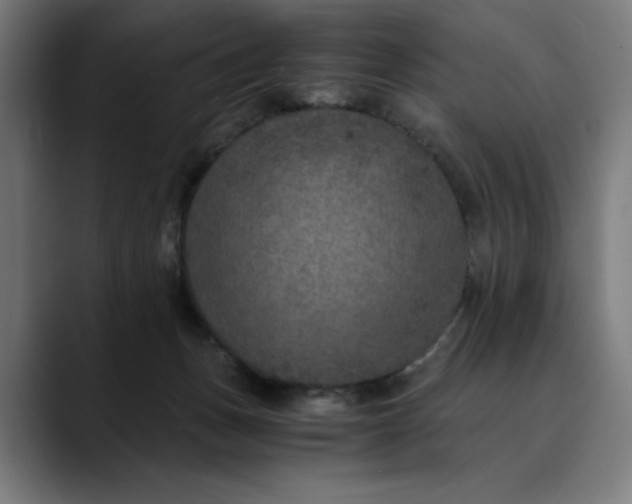 X0000089690175200707121342