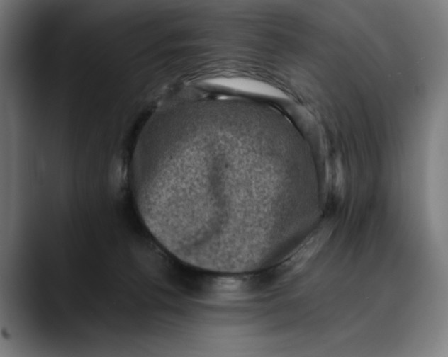 X0000089690176200707121342