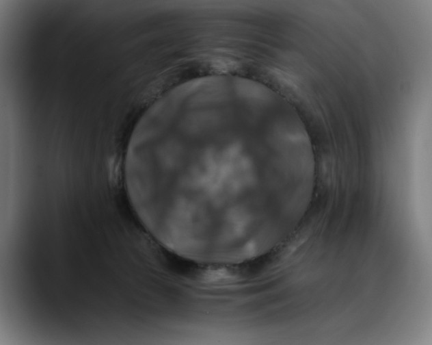 X0000089690177200707121342