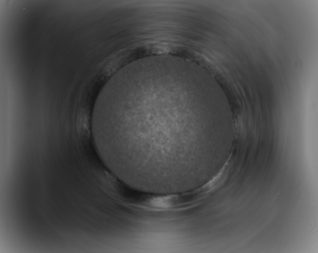 X0000089690178200707121342