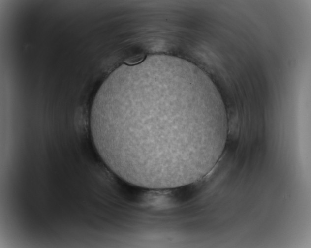 X0000089690179200707121342