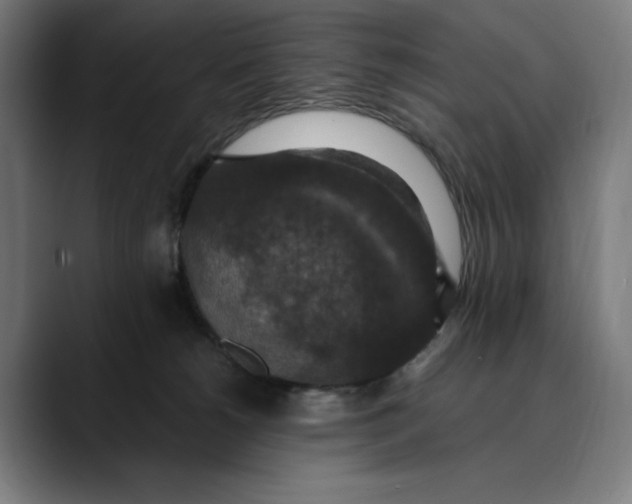 X0000089690180200707121342