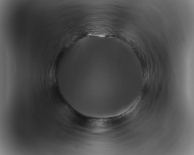 X0000089690182200707121342