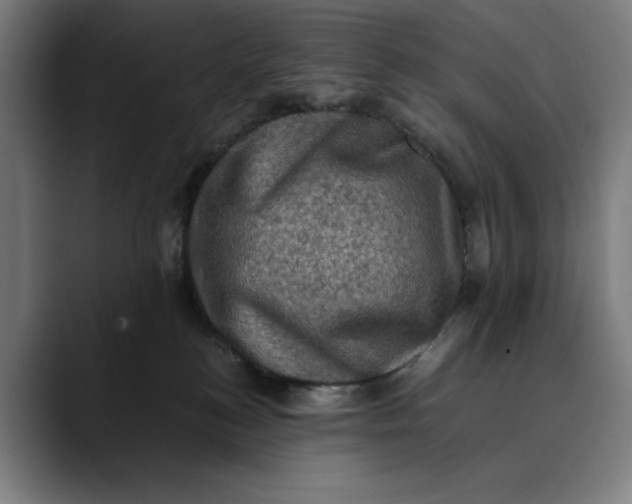 X0000089690184200707121343