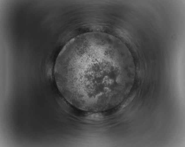 X0000089690185200707121343