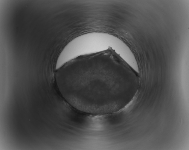 X0000089690186200707121343