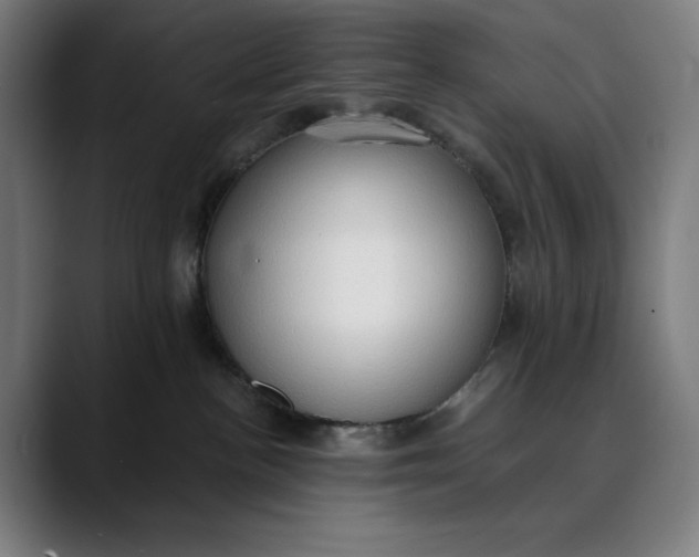 X0000089690188200707121343