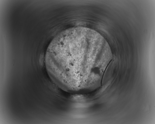 X0000089690189200707121343