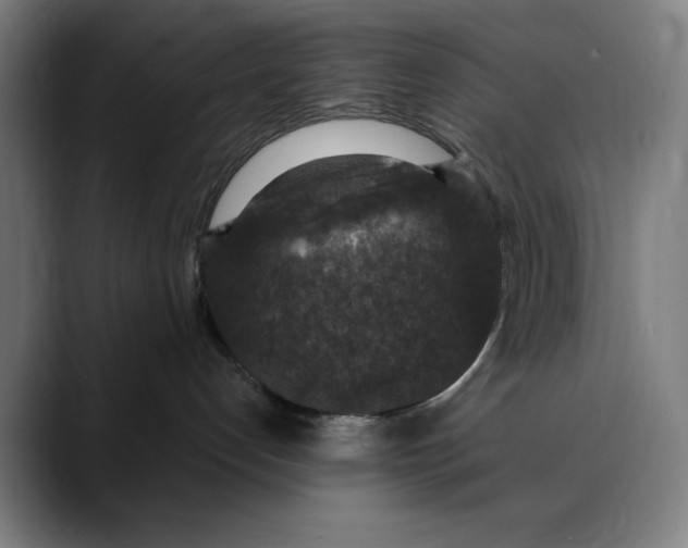 X0000089690192200707121343