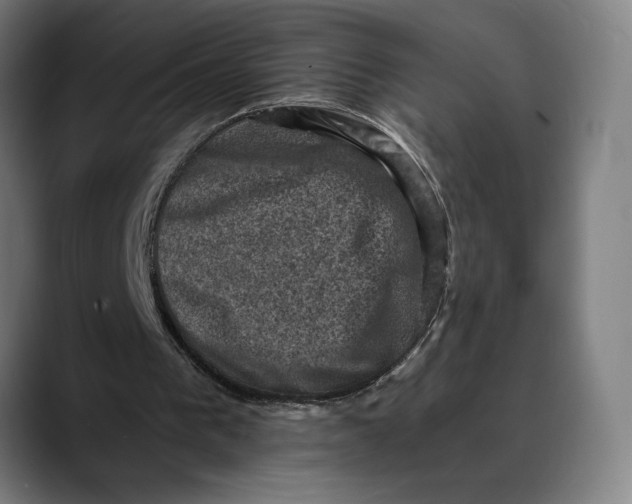 X0000089690193200707121342