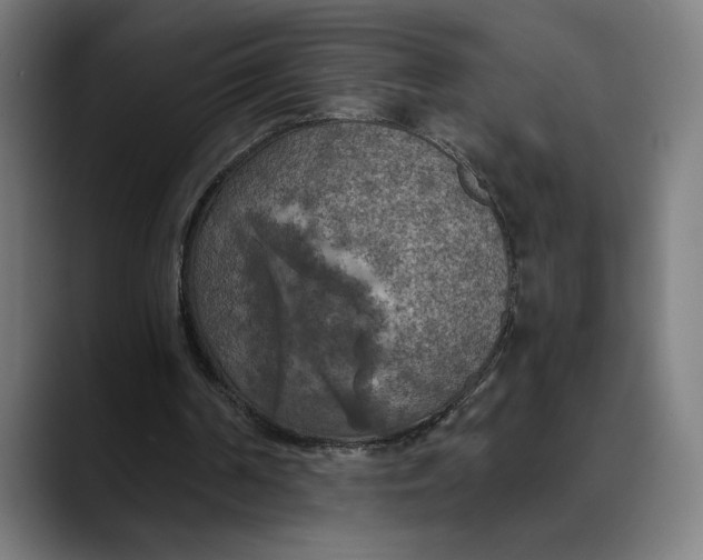 X0000089690194200707121342