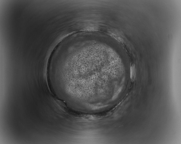 X0000089690195200707121342