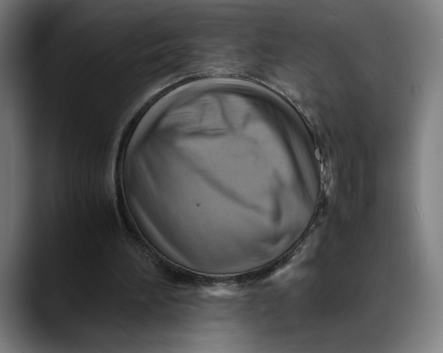 X0000089690196200707121342