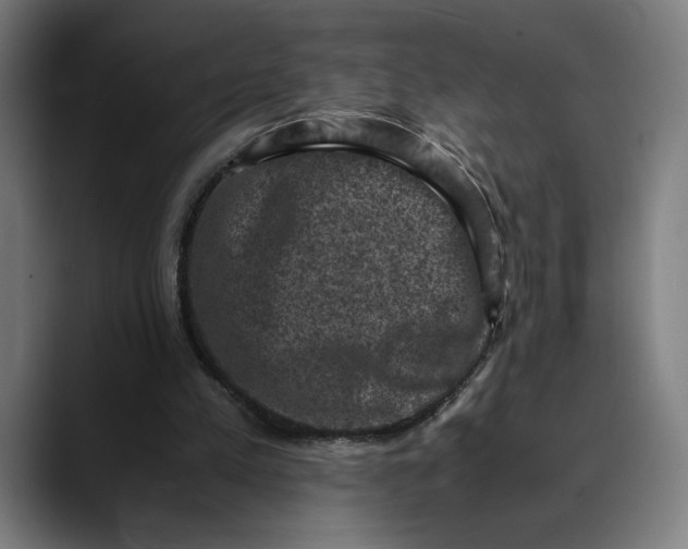 X0000089690197200707121342