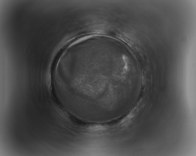 X0000089690198200707121342