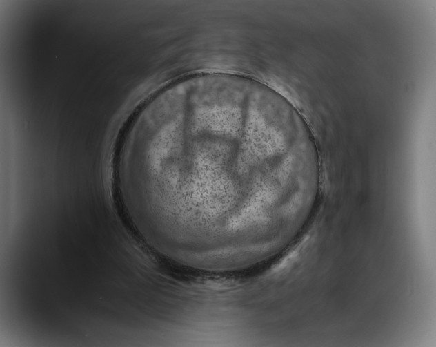 X0000089690199200707121342