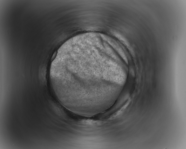 X0000089690201200707121342