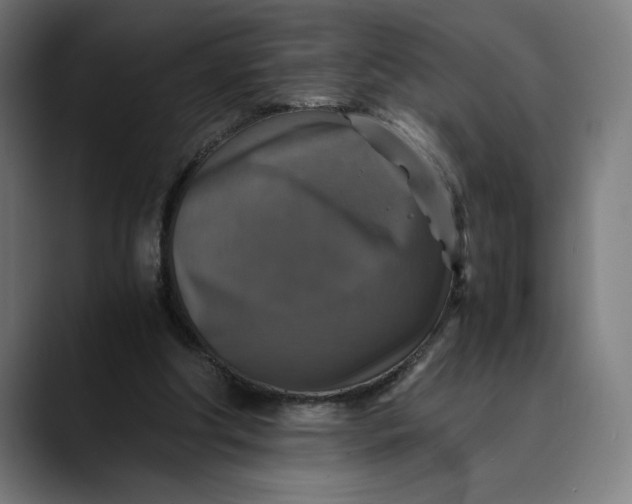 X0000089690202200707121342