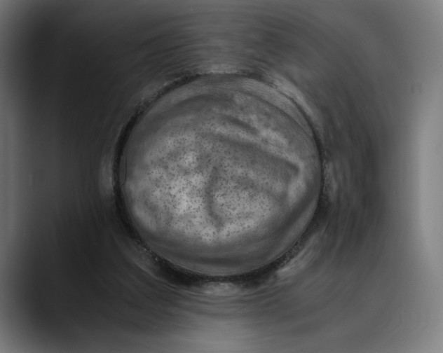 X0000089690203200707121342