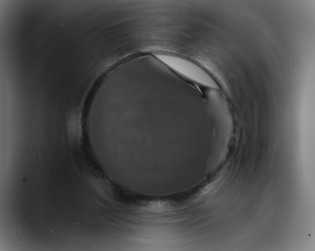 X0000089690204200707121342