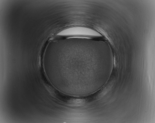 X0000089690205200707121342