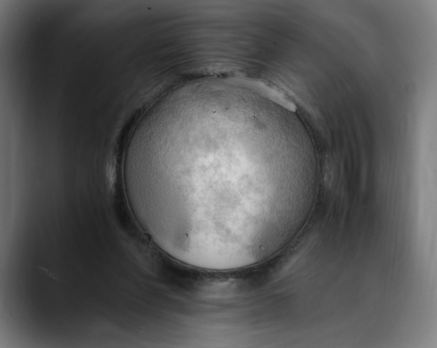 X0000089690206200707121342