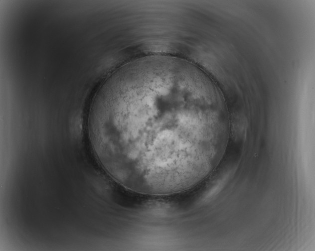 X0000089690207200707121342