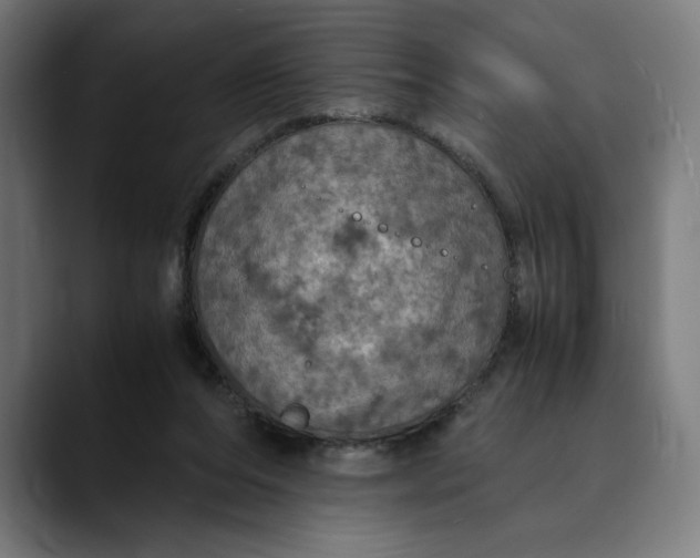 X0000089690208200707121342