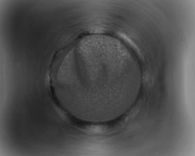 X0000089690209200707121342