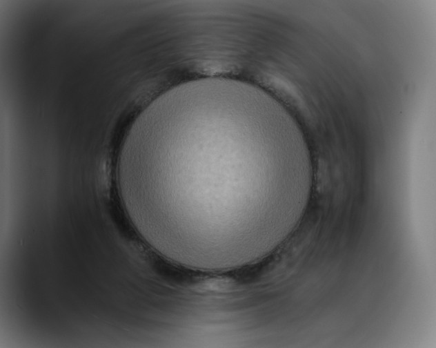 X0000089690210200707121342