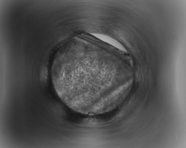 X0000089690211200707121342