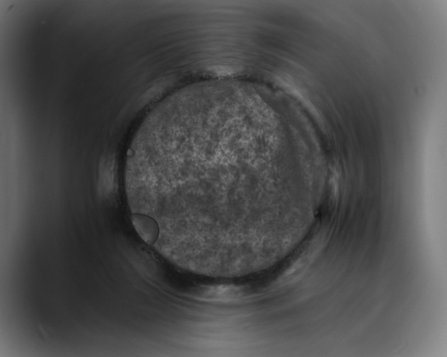 X0000089690212200707121342