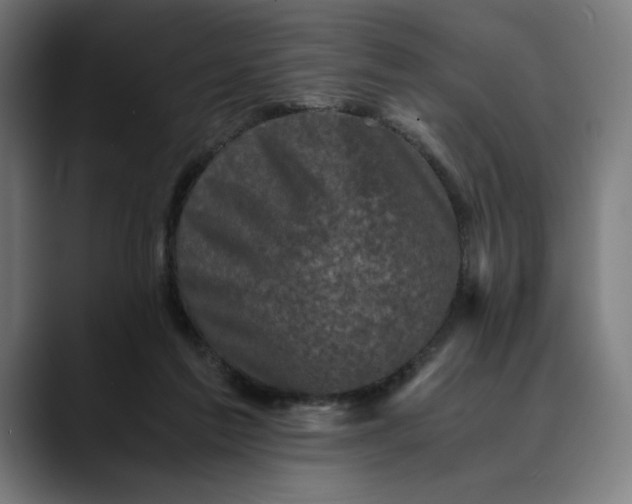 X0000089690213200707121342