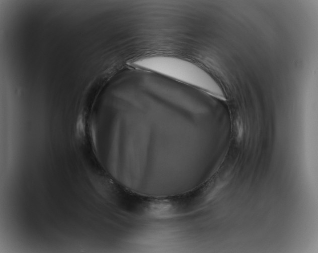 X0000089690214200707121342