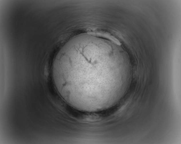 X0000089690215200707121342